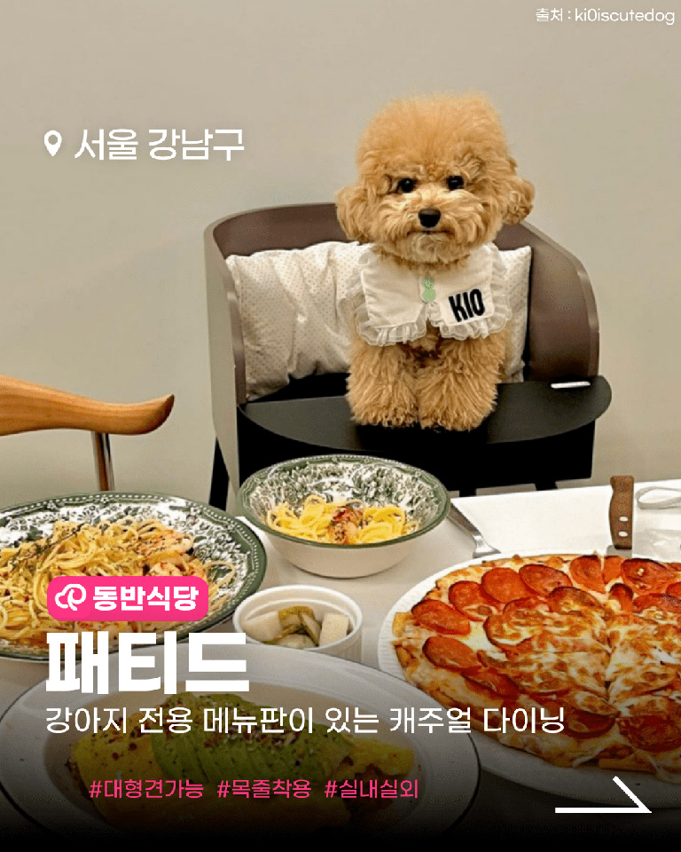 패티드
