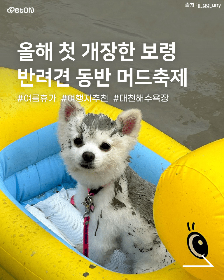 보령 머드축제