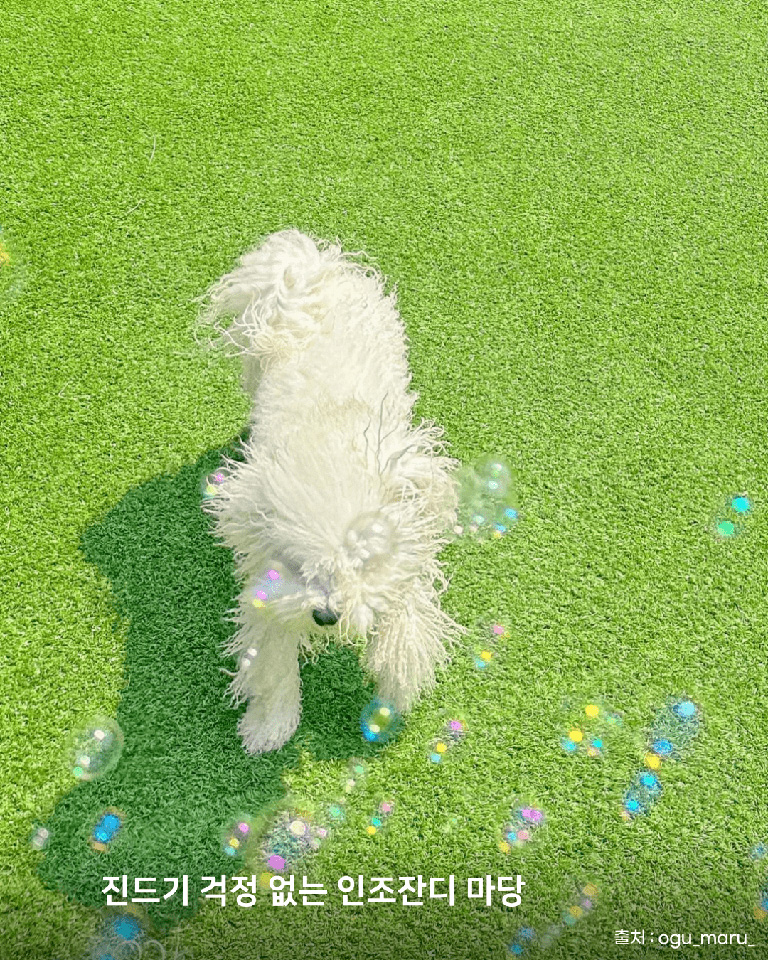 눈독