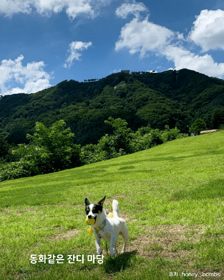 마당바위