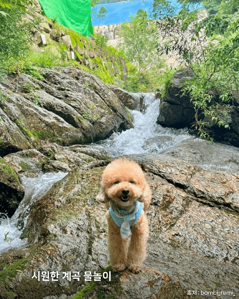 마당바위