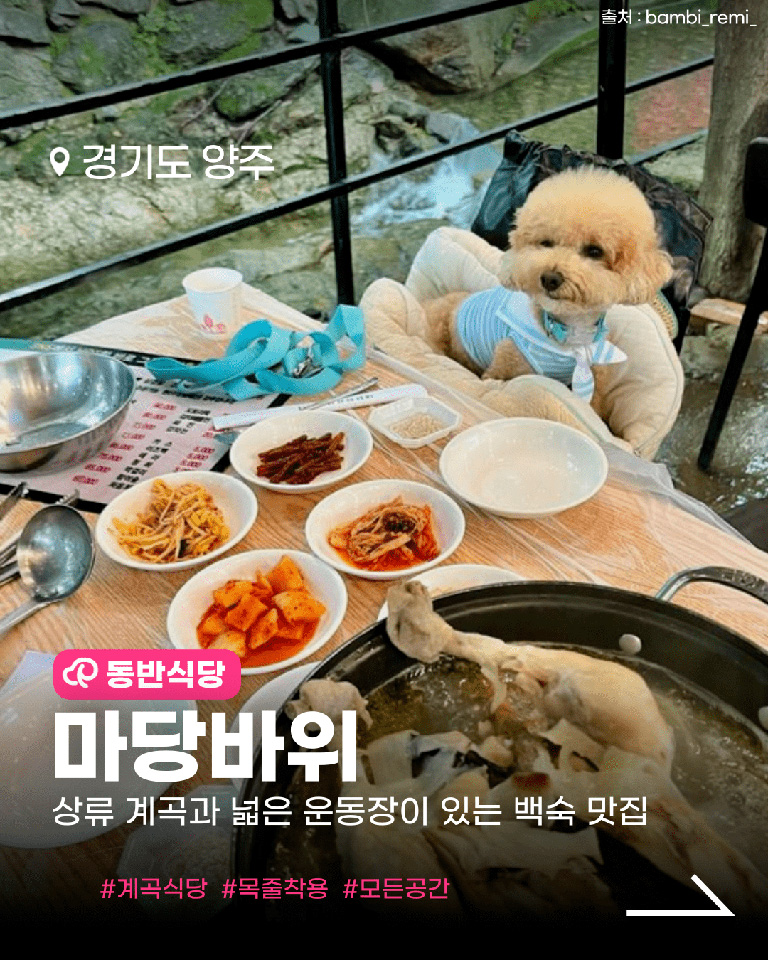 마당바위