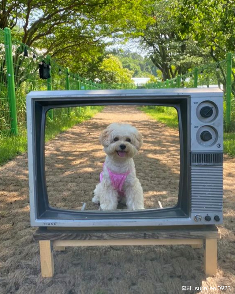 개인카페