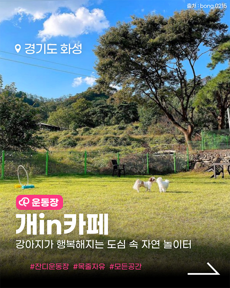 개인카페