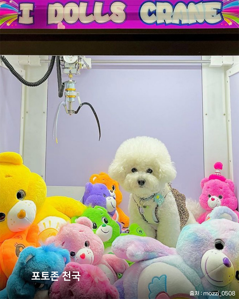 개인카페