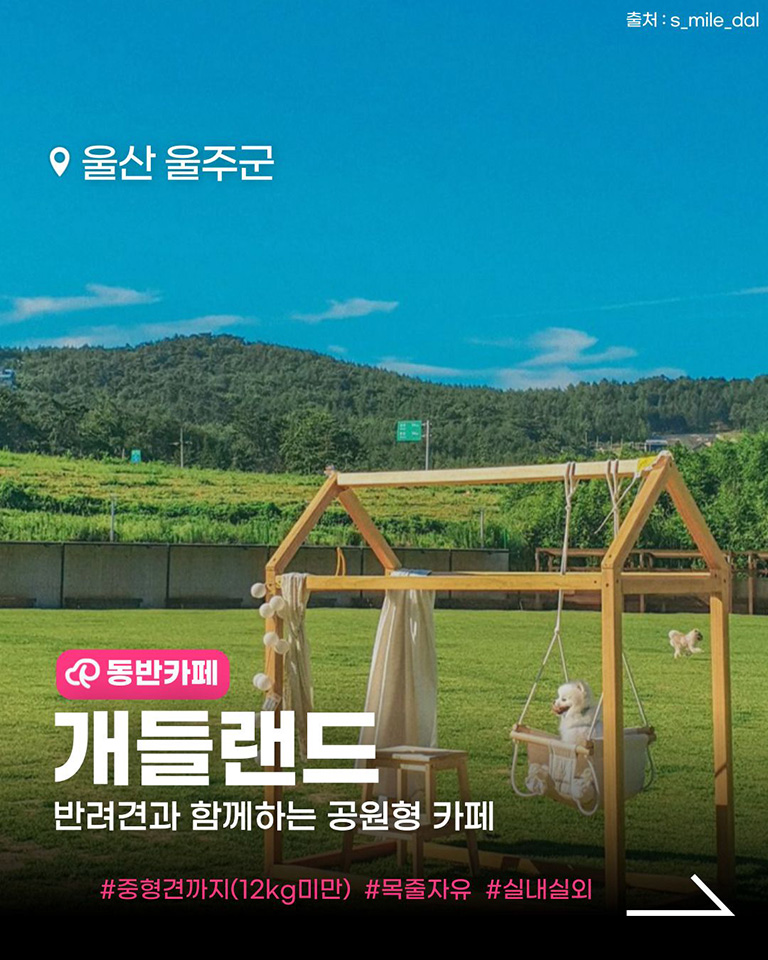 개들랜드
