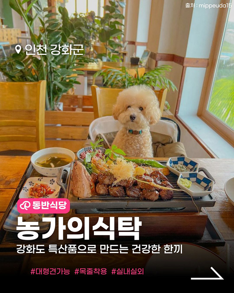 농가의식탁