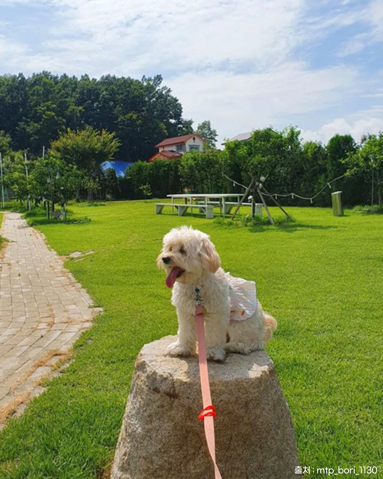 농가의식탁
