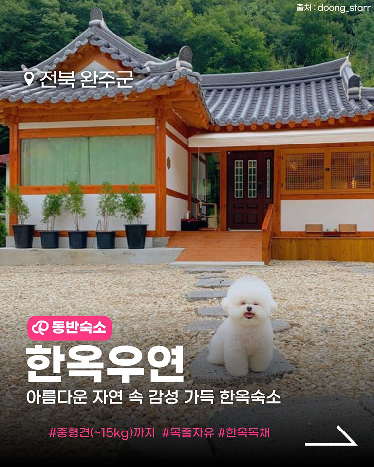 한옥, 우연