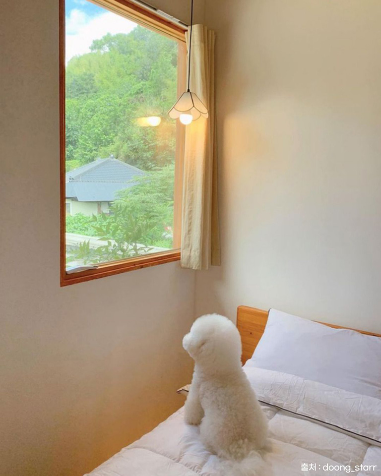 한옥, 우연