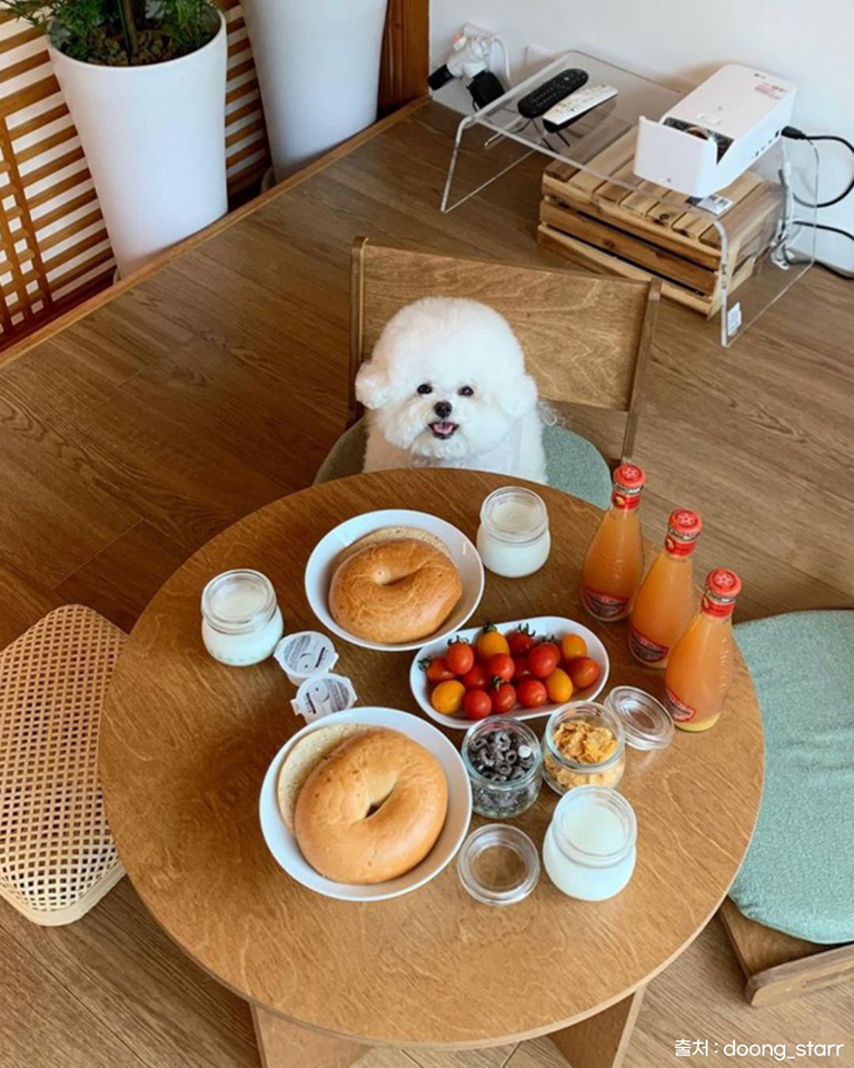 한옥, 우연