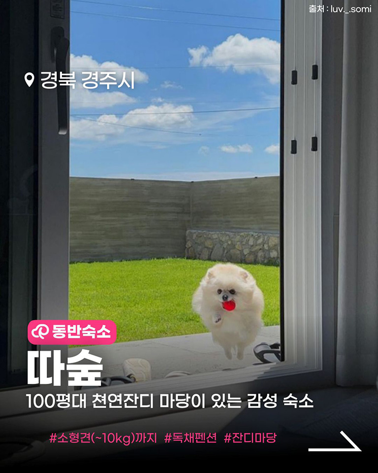 따 숲