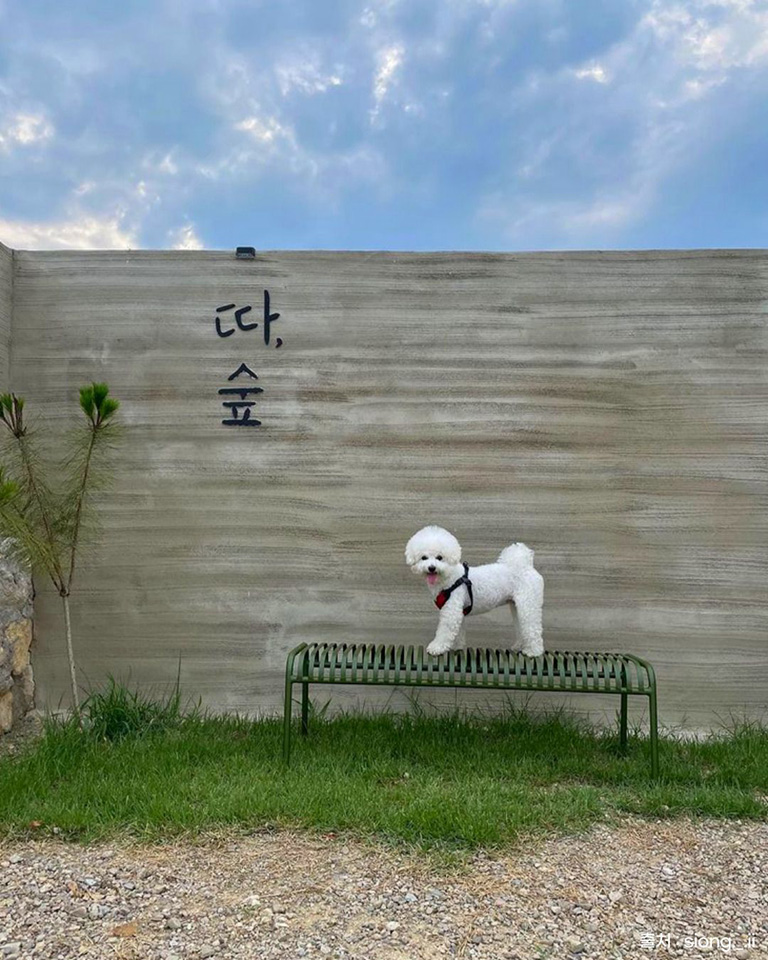 따 숲
