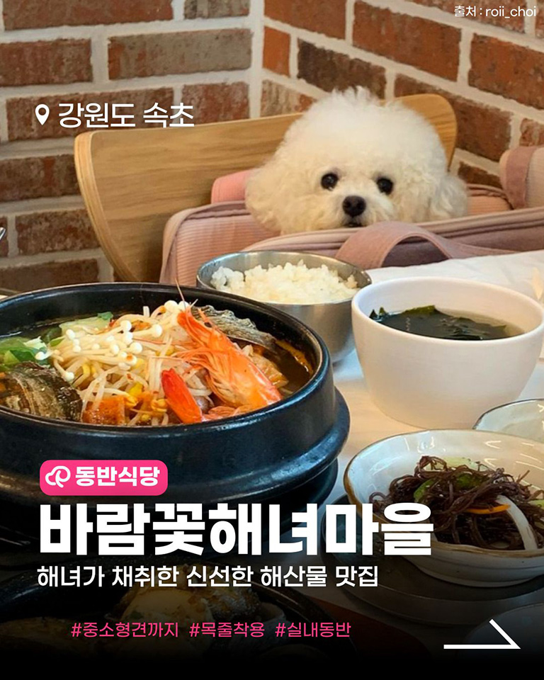 바람꽃해녀마을