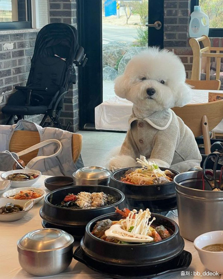 바람꽃해녀마을