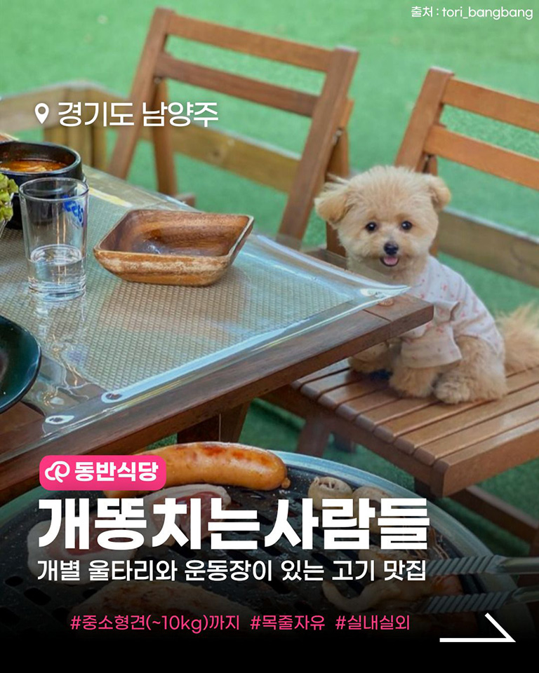 개똥치는사람들