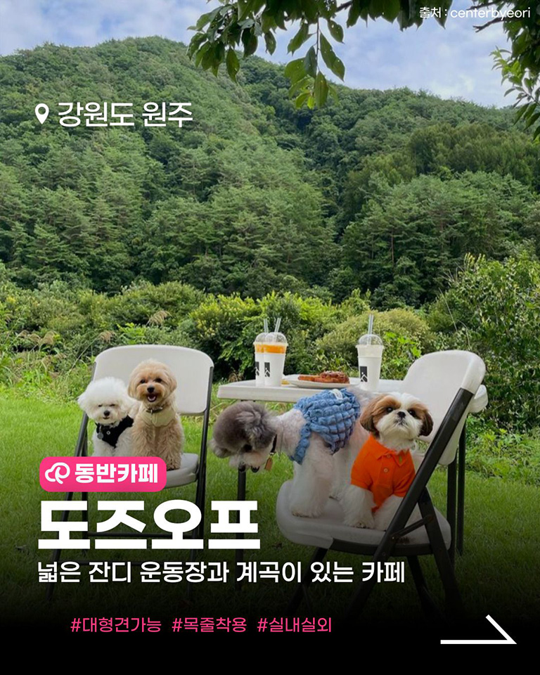 카페도즈오프