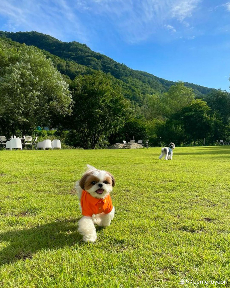 카페도즈오프
