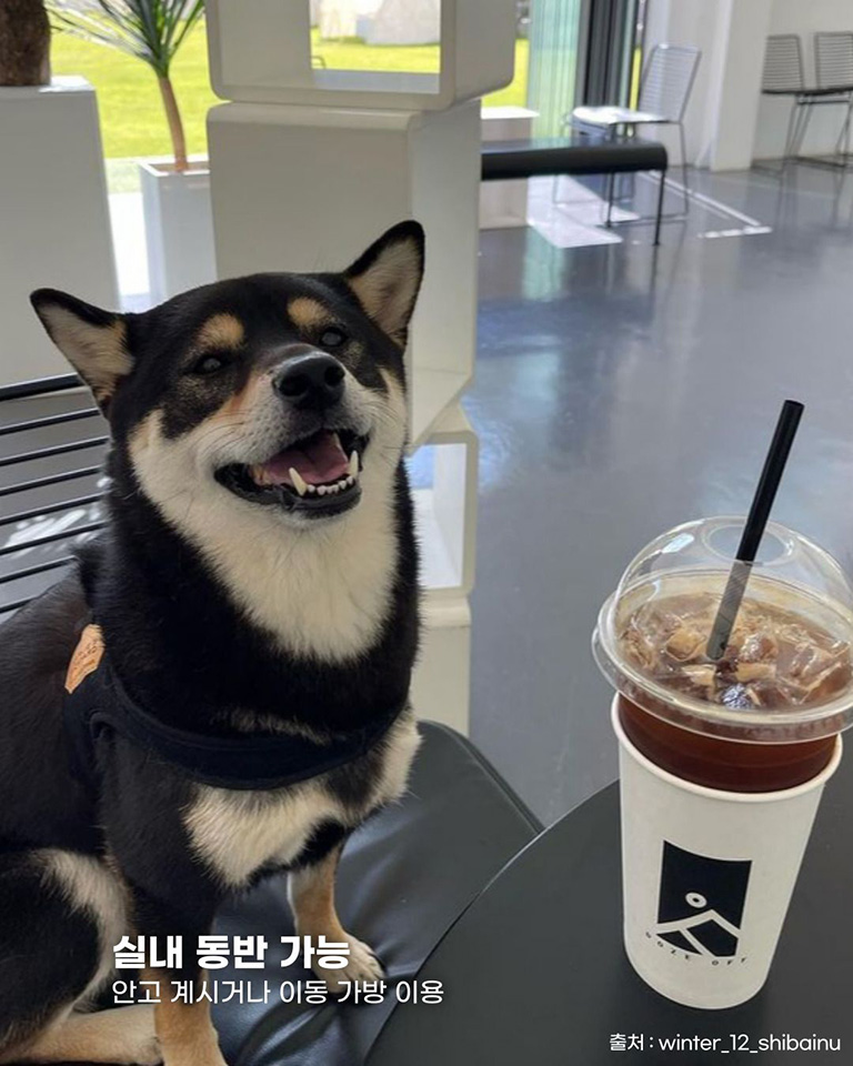 카페도즈오프