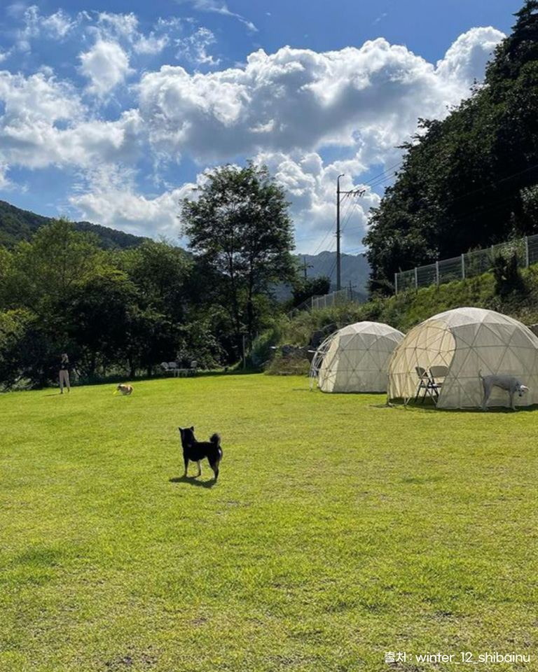 카페도즈오프