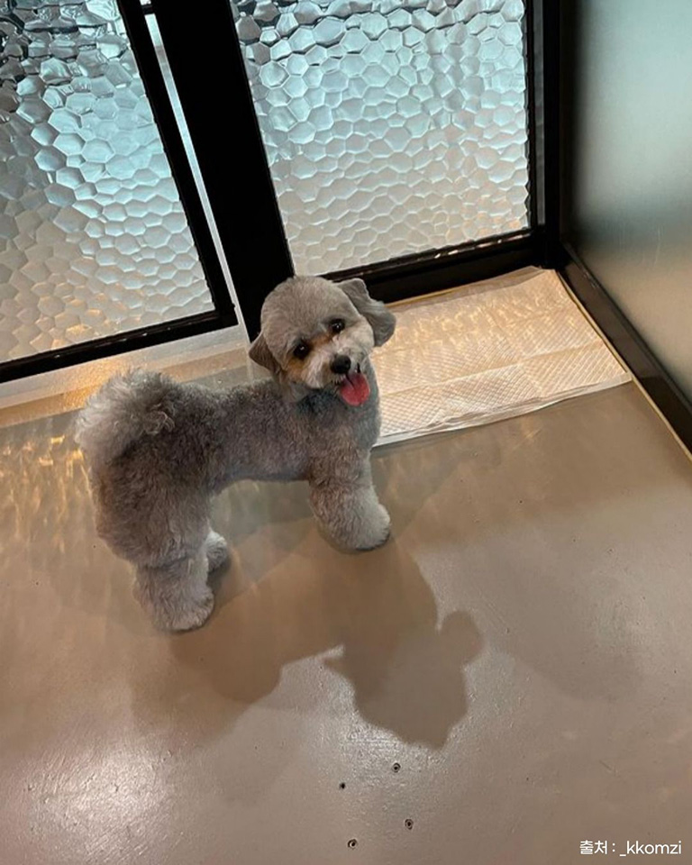 견애가