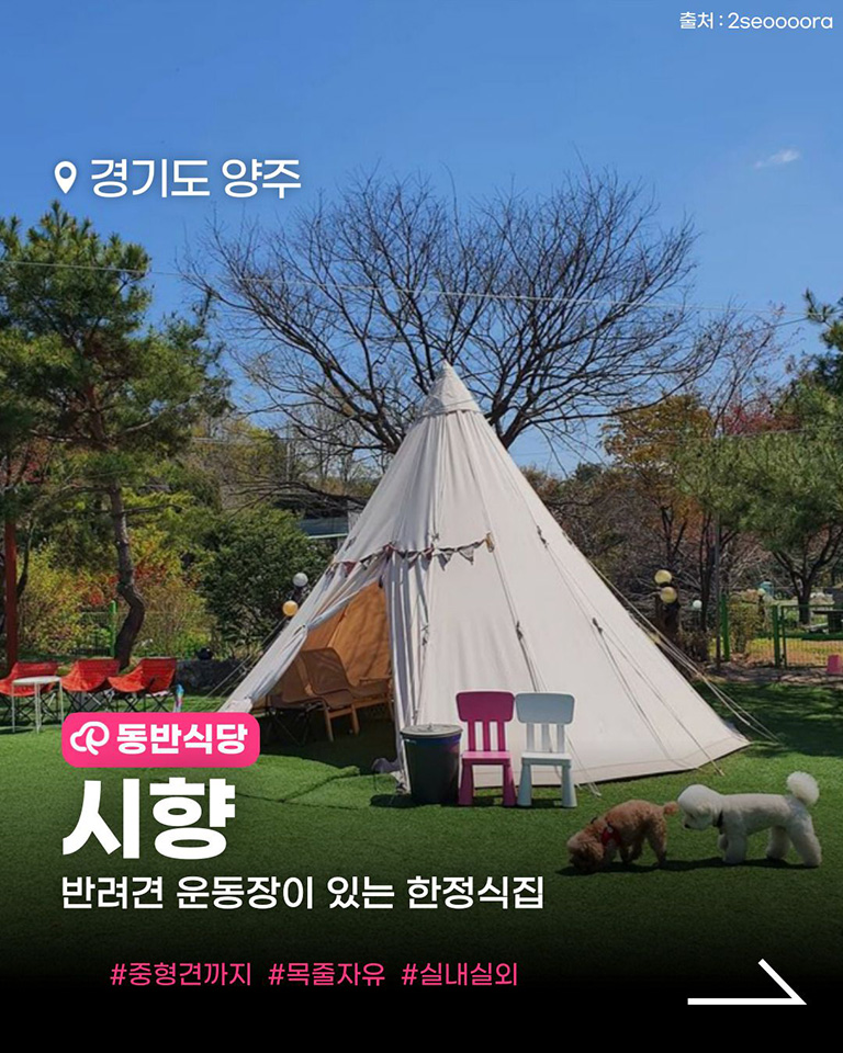 시향