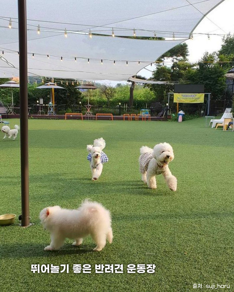 시향