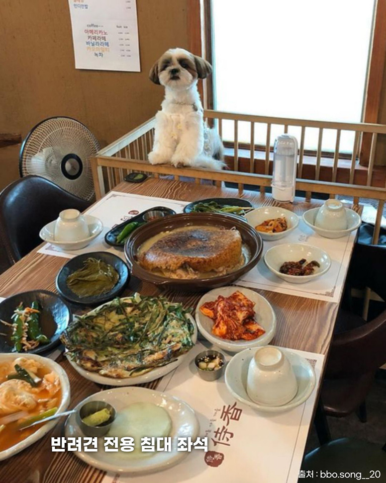 시향