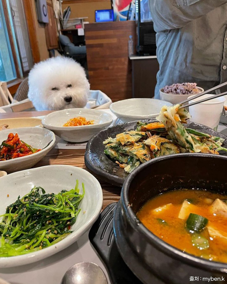 시향