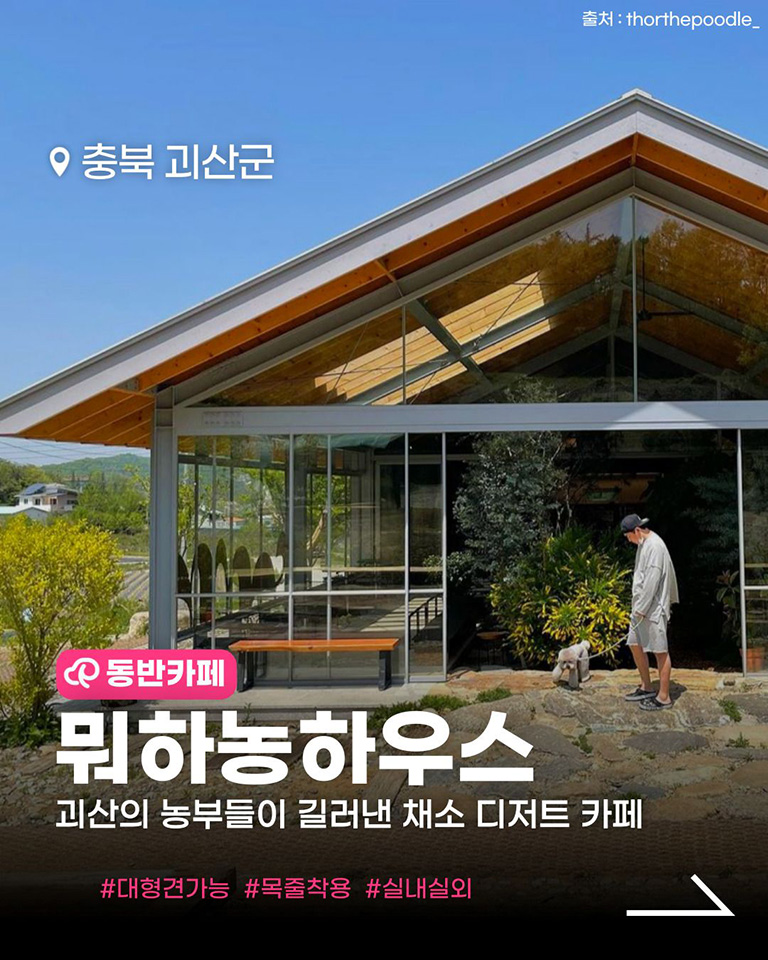 뭐하농하우스