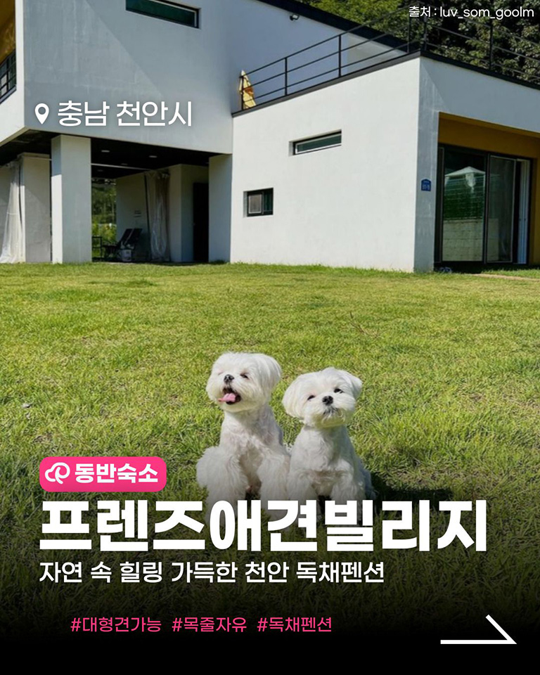 프렌즈애견빌리지