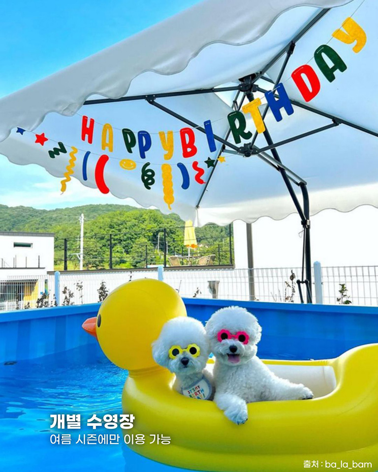 프렌즈애견빌리지