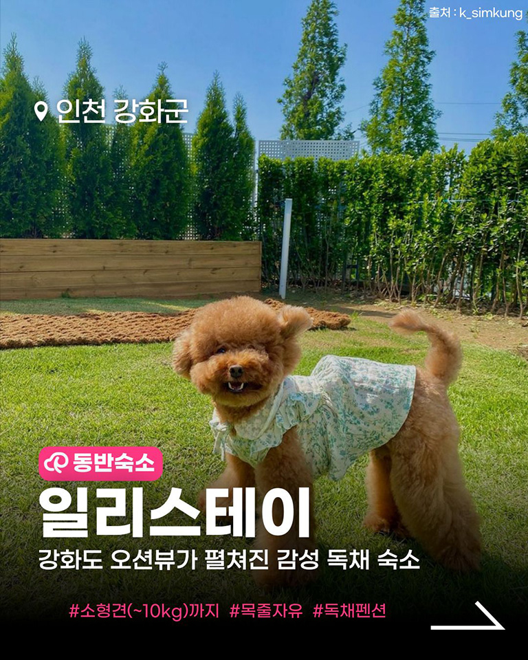 일리스테이