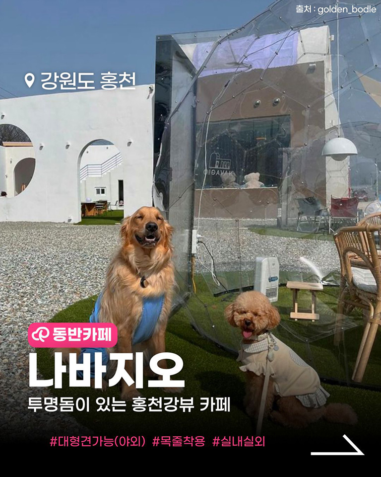 나바지오
