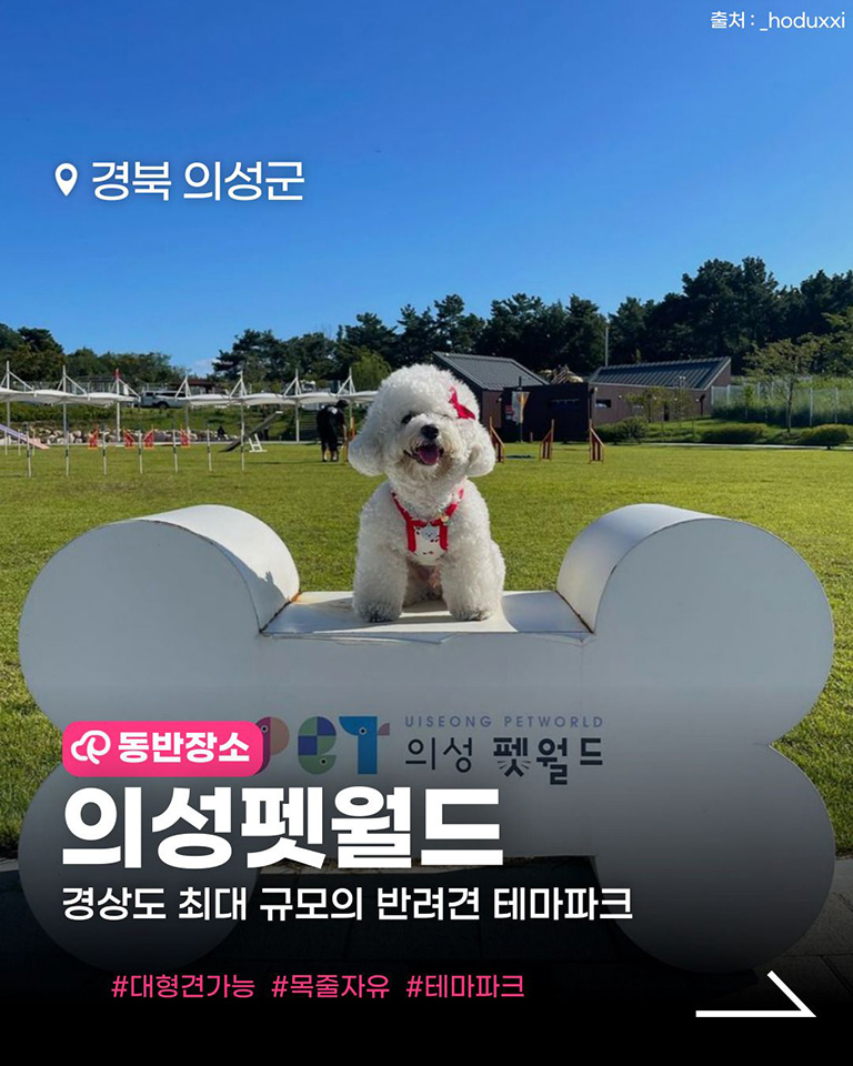 의성펫월드