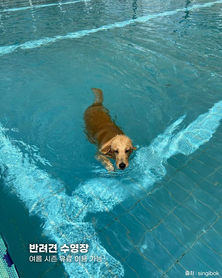 의성펫월드