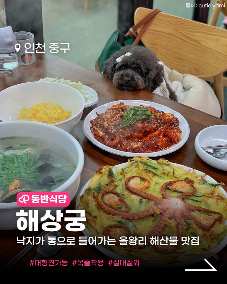 해상궁