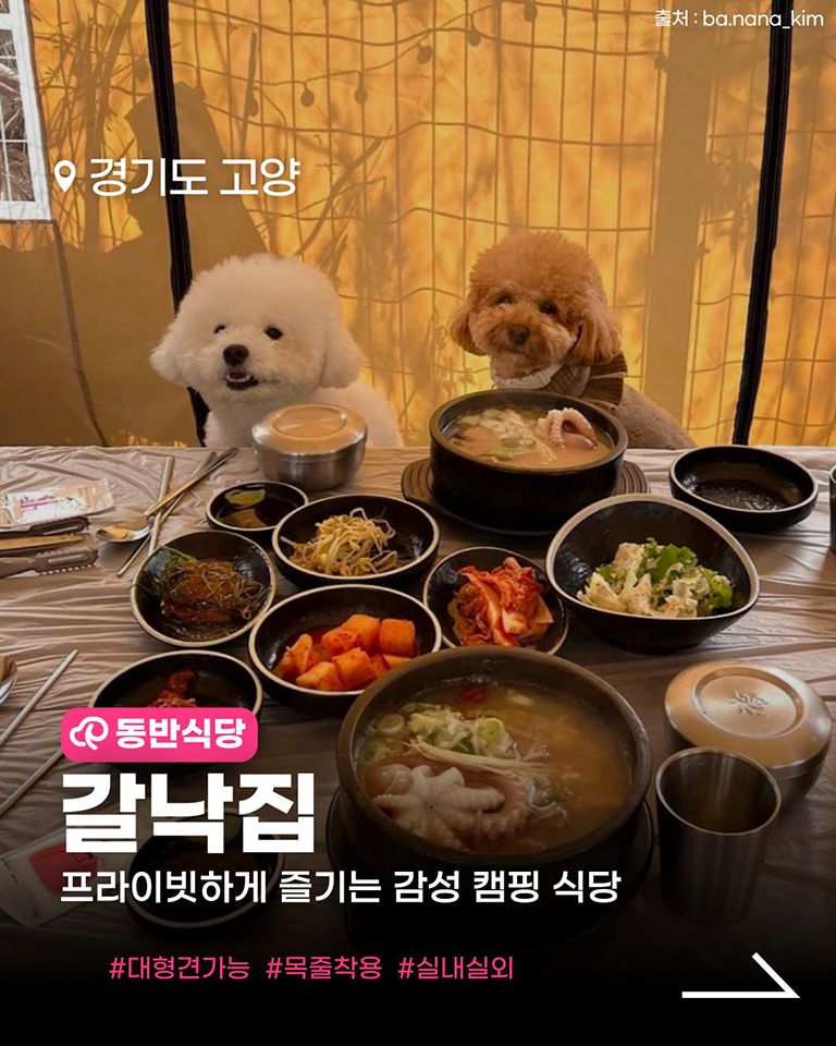 갈낙집