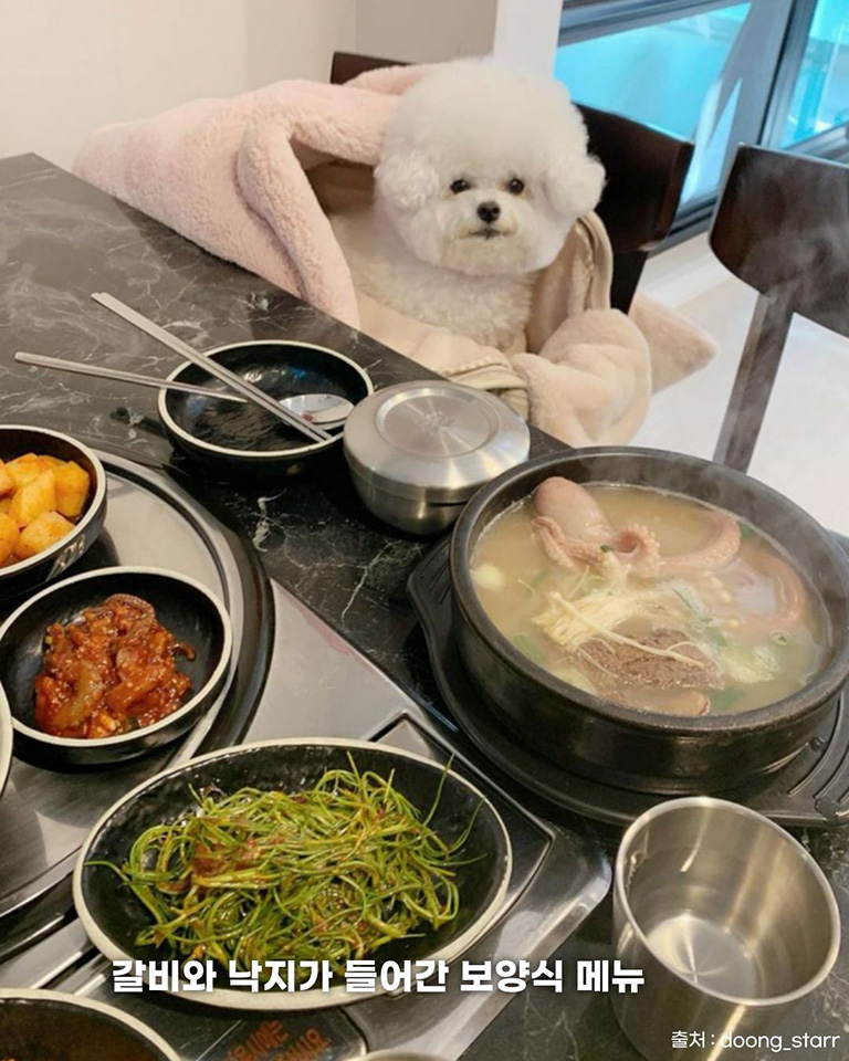 갈낙집