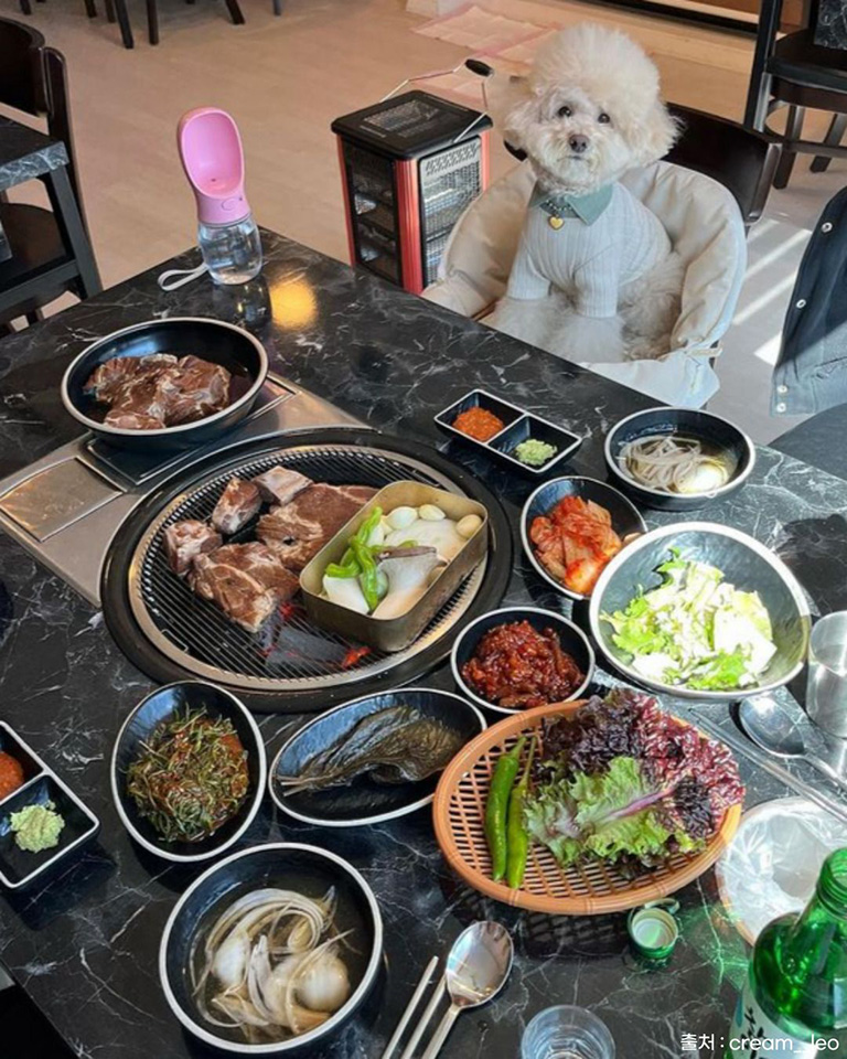 갈낙집
