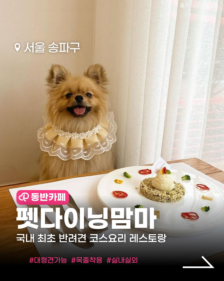 펫다이닝 맘마
