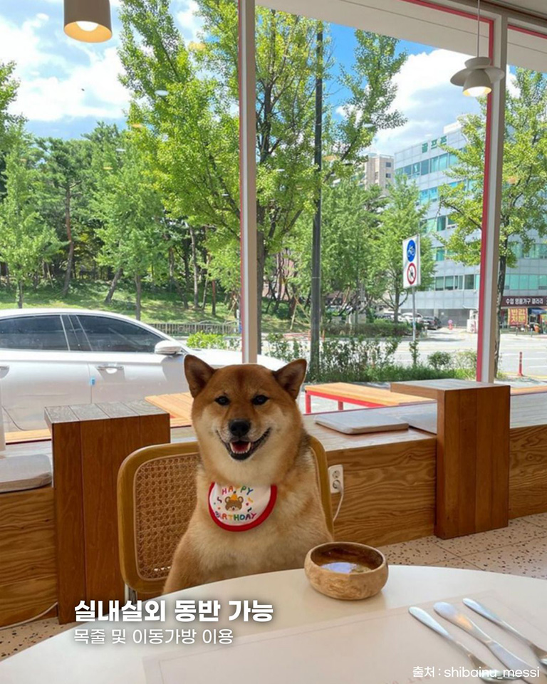 펫다이닝 맘마