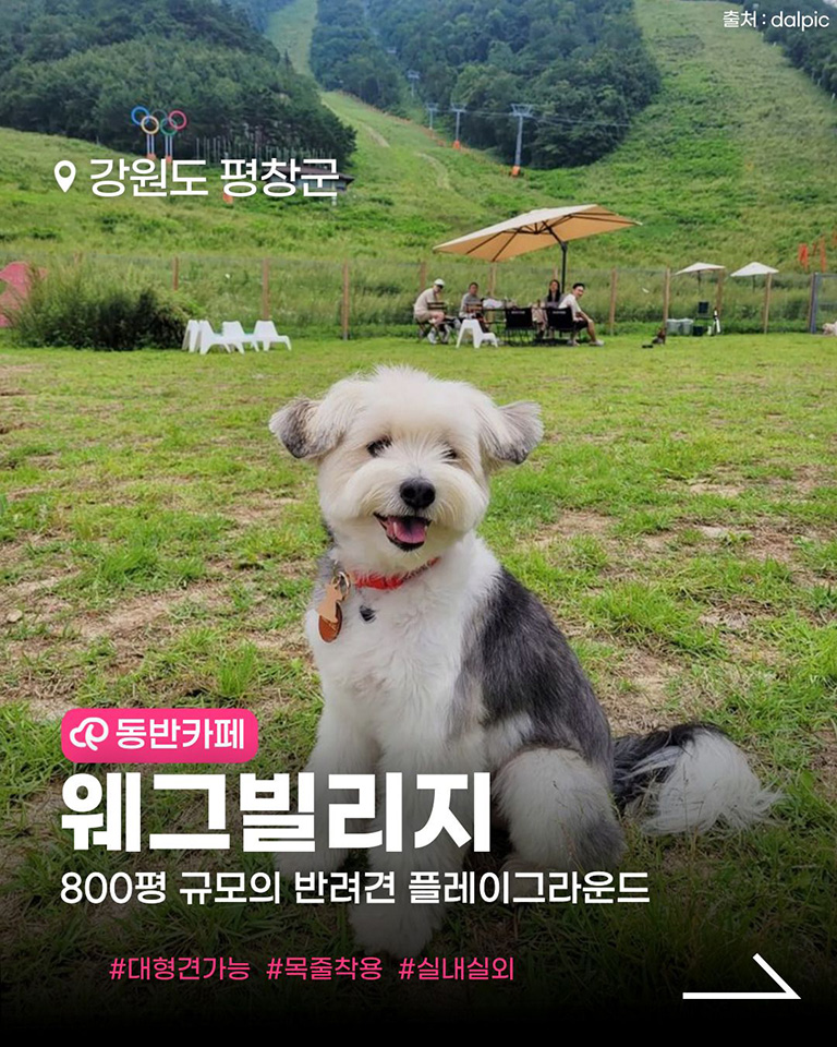 웨그빌리지