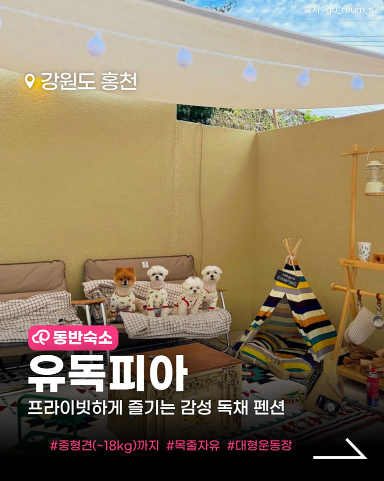 유독피아