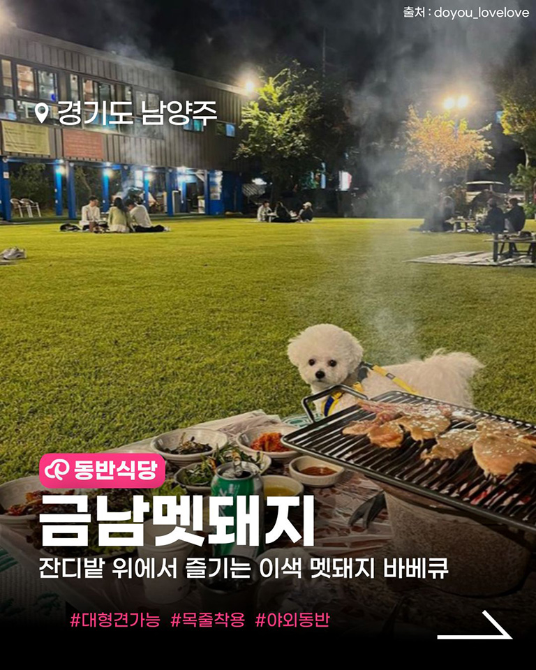 금남멧돼지