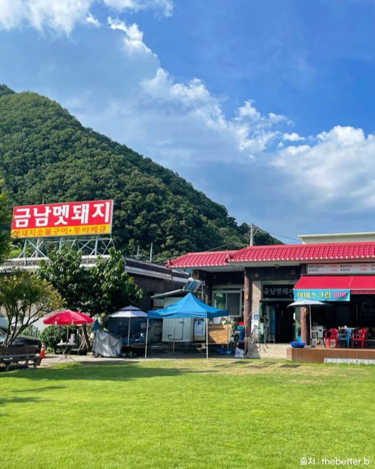 금남멧돼지