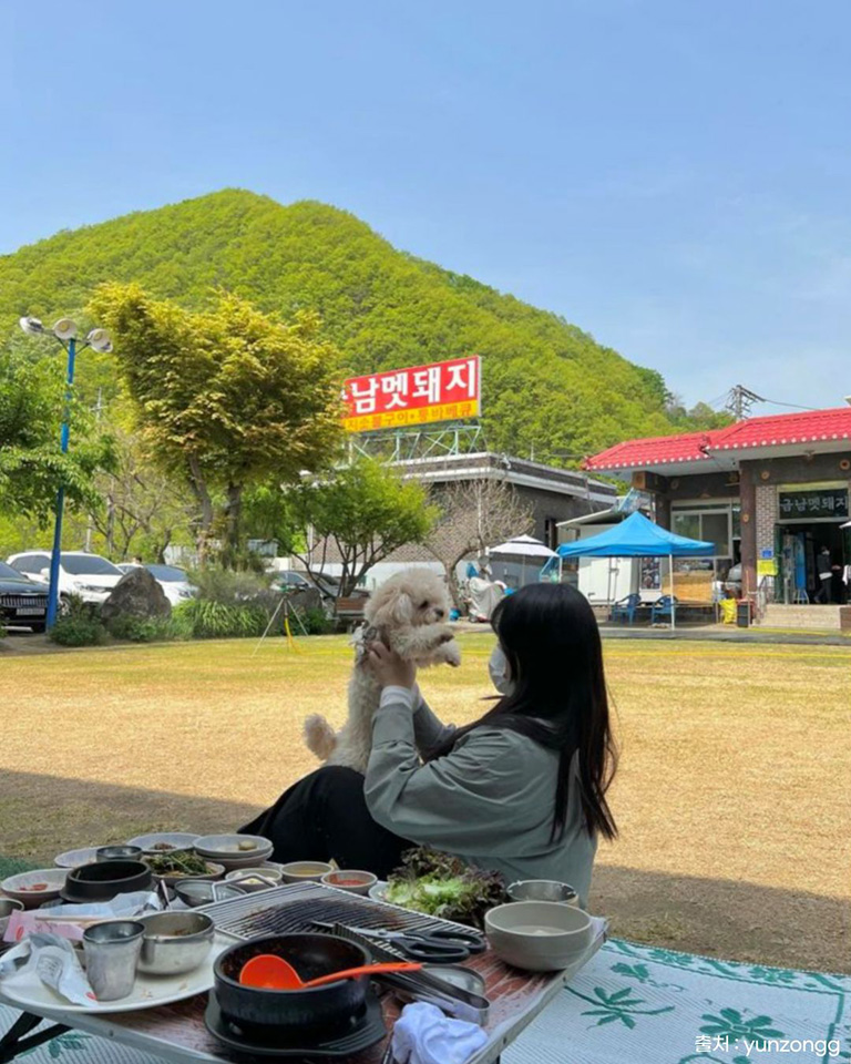 금남멧돼지