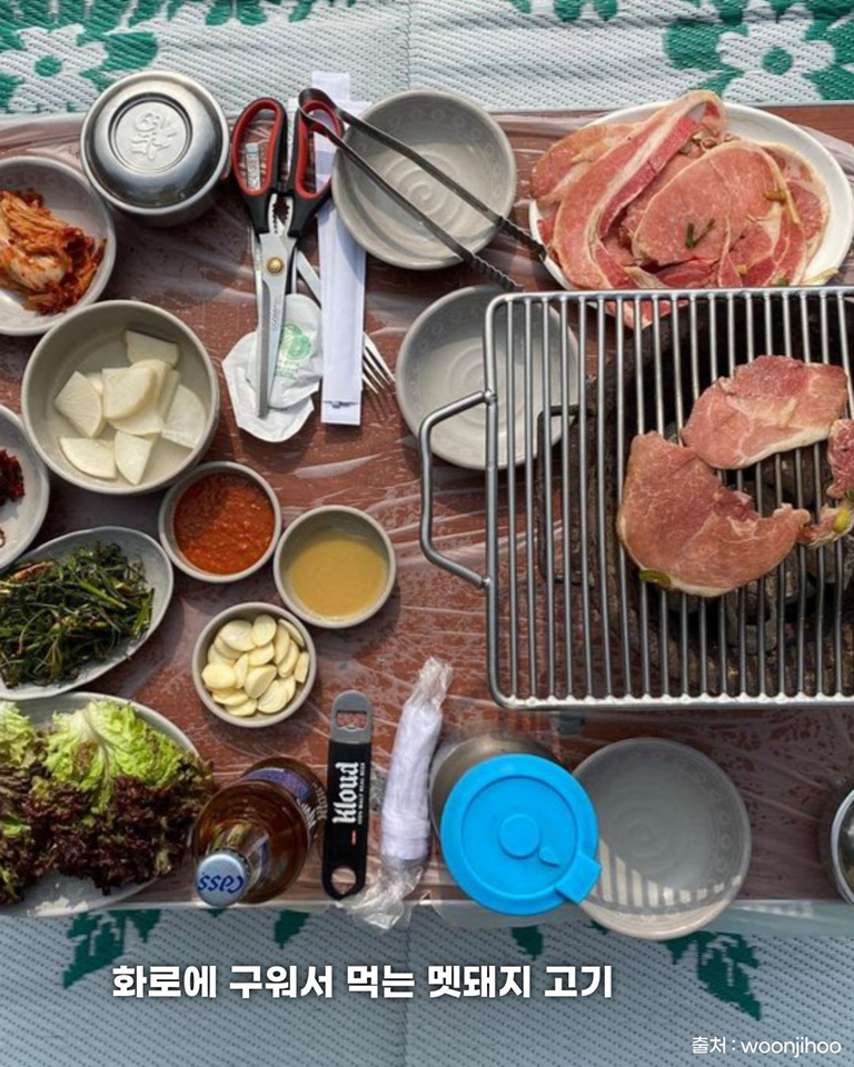 금남멧돼지