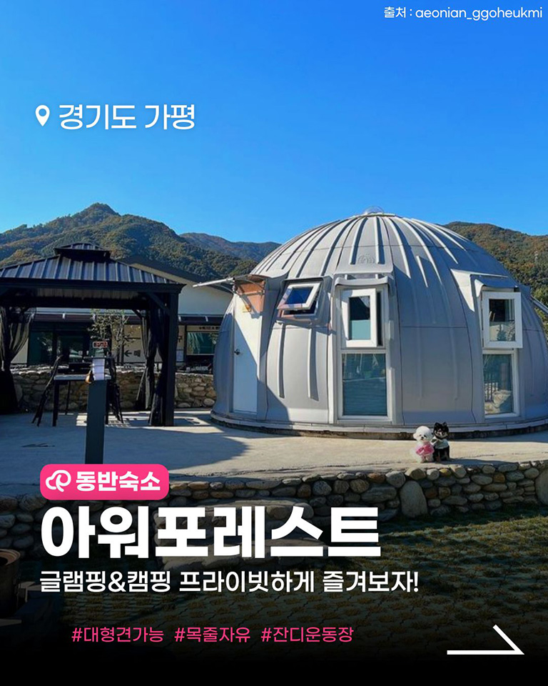 아워포레스트
