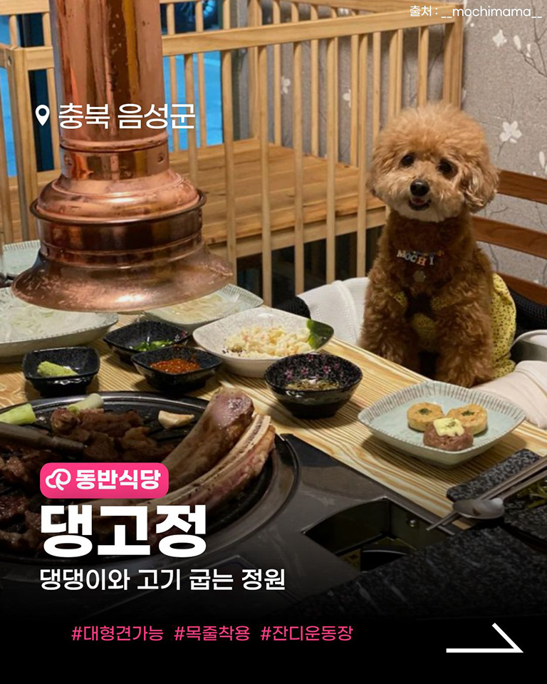 댕고정